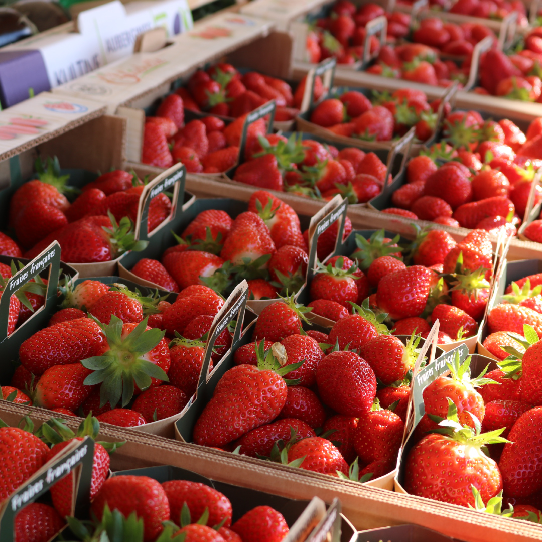 Fraises-Drome-Provencale