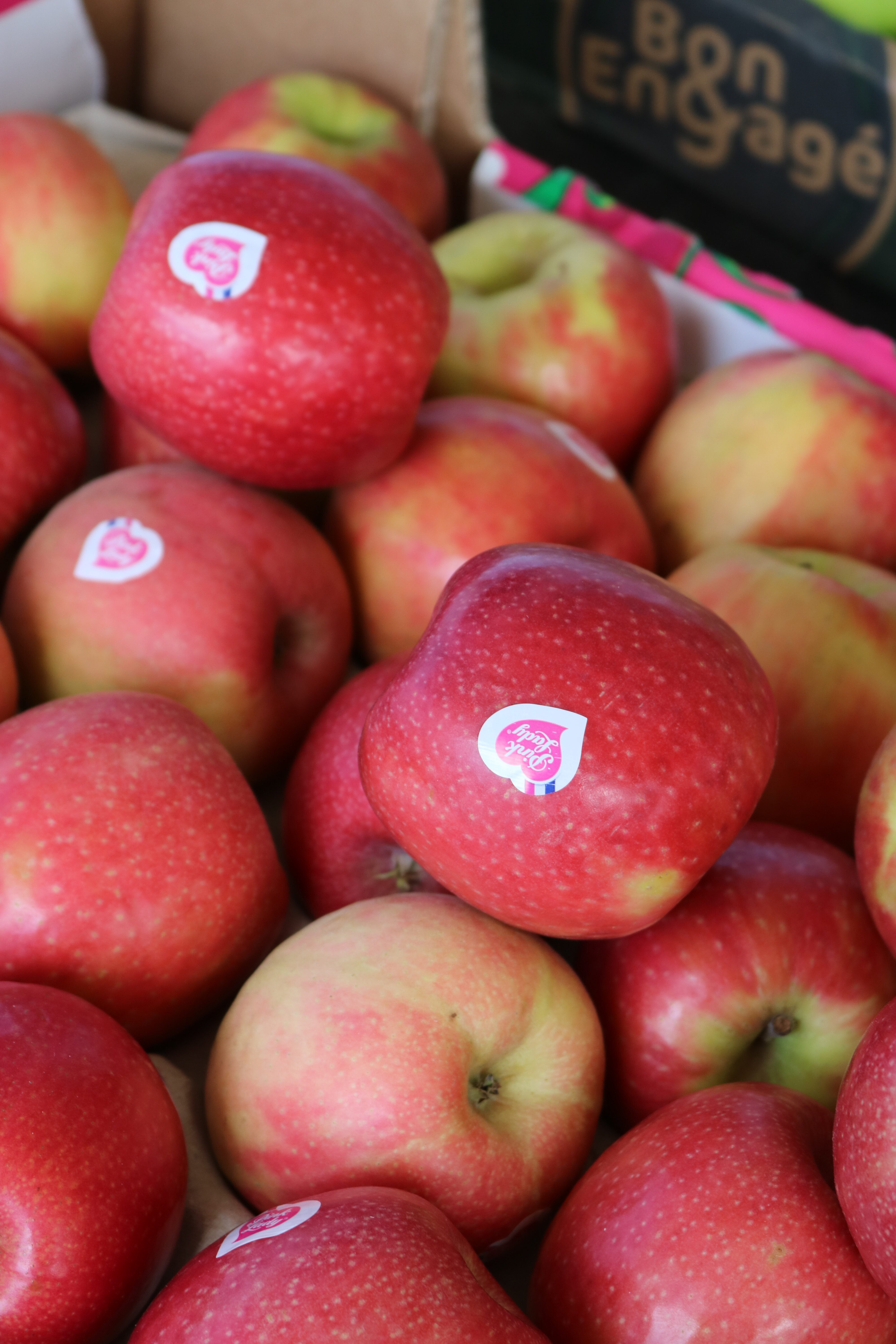 Nectarines